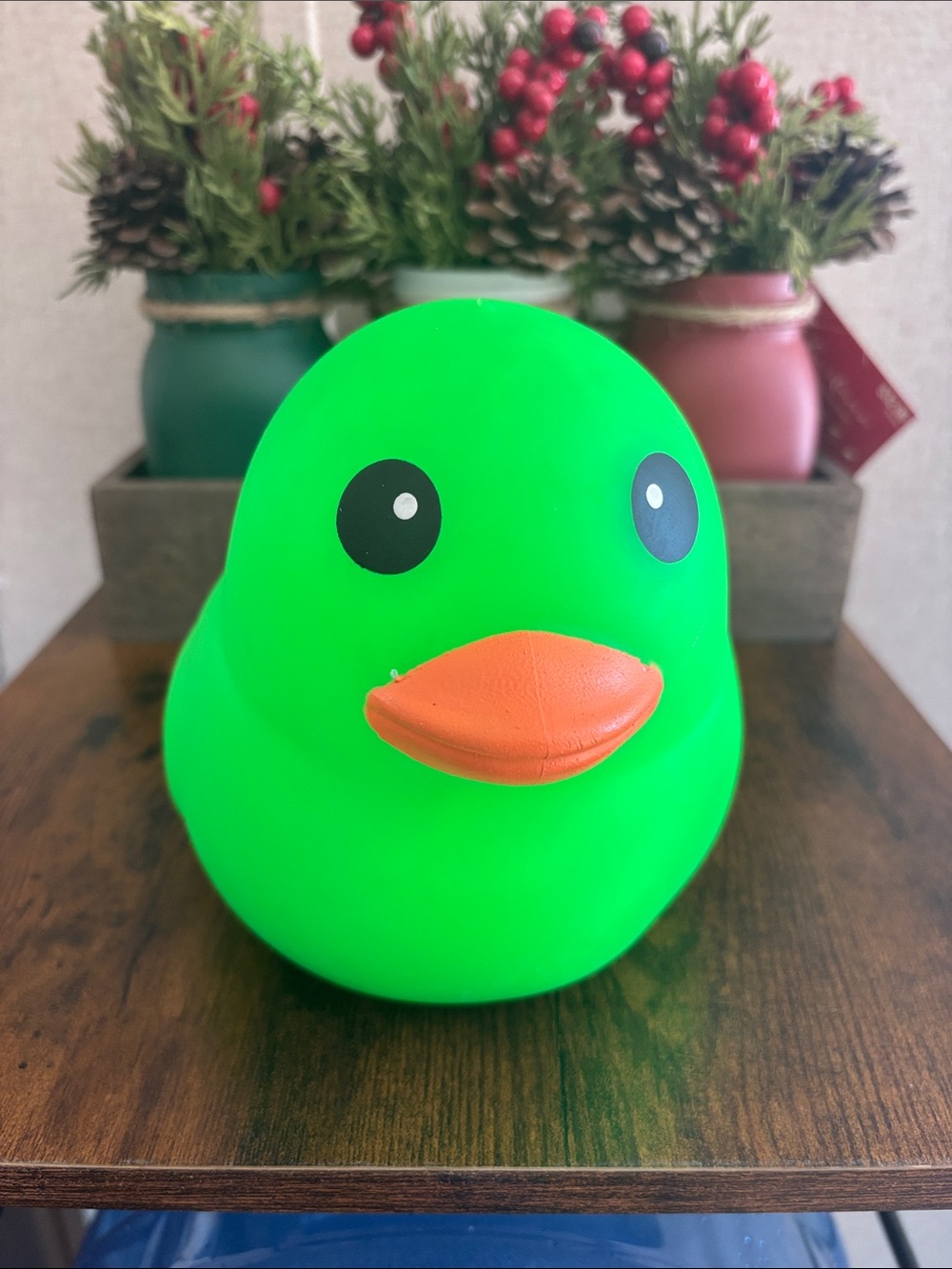Laffy Quacks Squishy